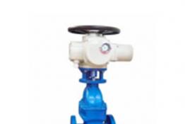 电动弹性座阀闸阀