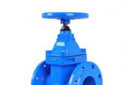 暗杆弹性座封闸阀